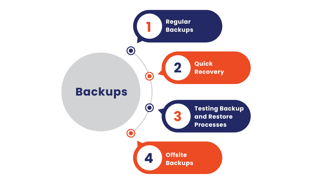 Website Backups
