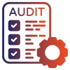 Audit Process
