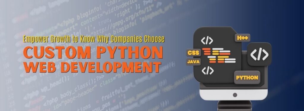 Why US Companies Choose Custom Python Web Development