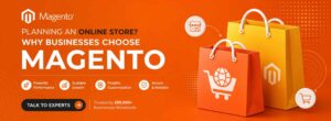 Magento service companies in US